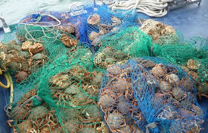 El furtivismo ‘se dispara’ en A Coruña desde la declaración del estado de alarma