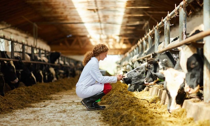 Mapa de luchas vecinales contra la ganadería industrial