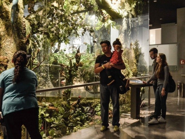 Museo de las Aves de México