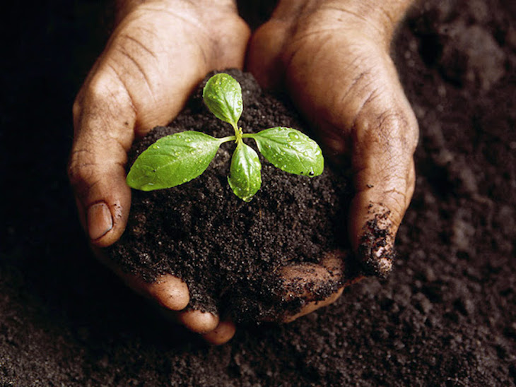 Andalucía invierte cuatro millones en digitalización para facilitar la tramitación de expedientes medioambientales