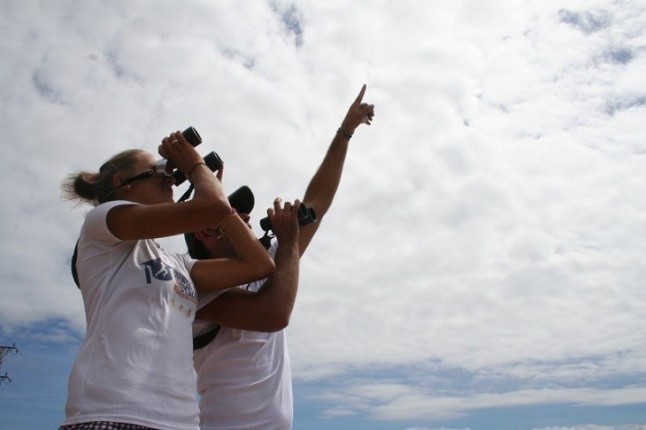 Campaña de la Fundación Migres para el seguimiento de aves planeadoras