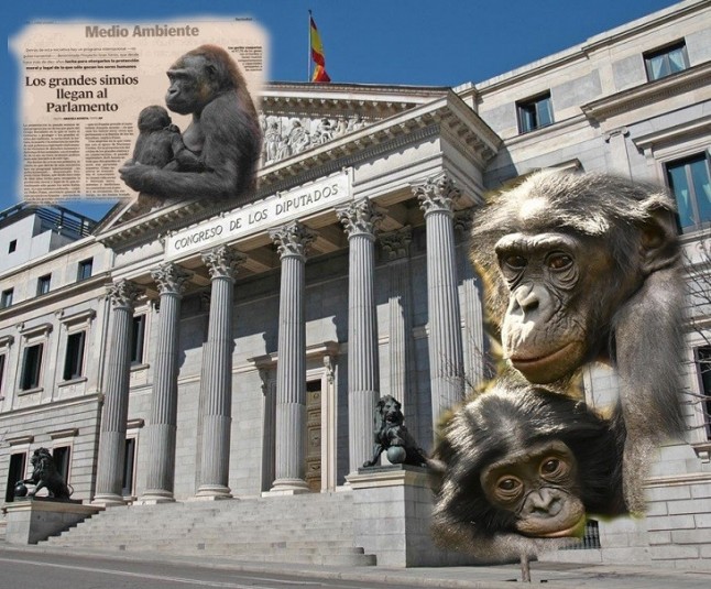 Ley de Grandes Simios