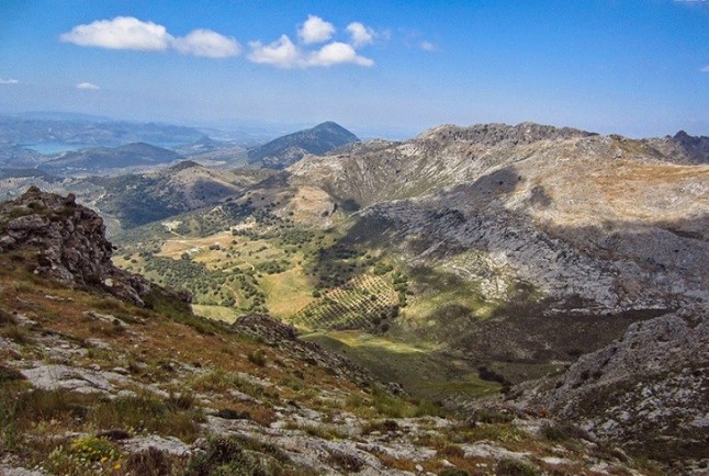 Exposición fotográfica sobre la avifauna del Parque Natural Sierras Subbéticas