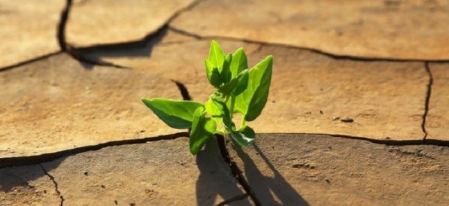 Las alegaciones a la Estrategia de Cambio Climático de Castilla – La Mancha podrán presentarse desde el 10 de junio