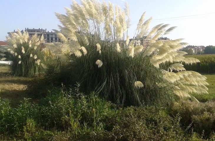 Cantabria celebra el ‘Día de la Red Natura’