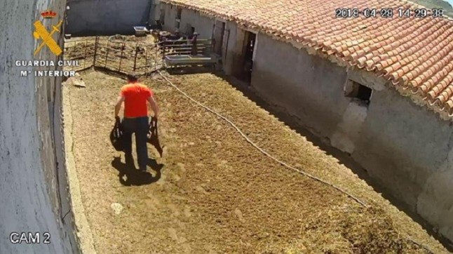 Maltrato animal tras el robo de dos chotos en Fonelas (Granada)
