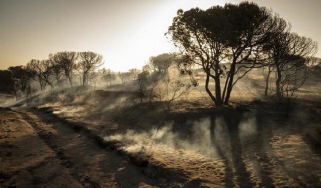 Alerta máxima ante el plan de restauración del incendio forestal de Doñana