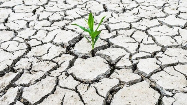 El PP andaluz apuesta por atajar el cambio climático desde los municipios