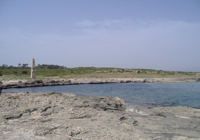 El plan de gestión de Son Real carece de criterio