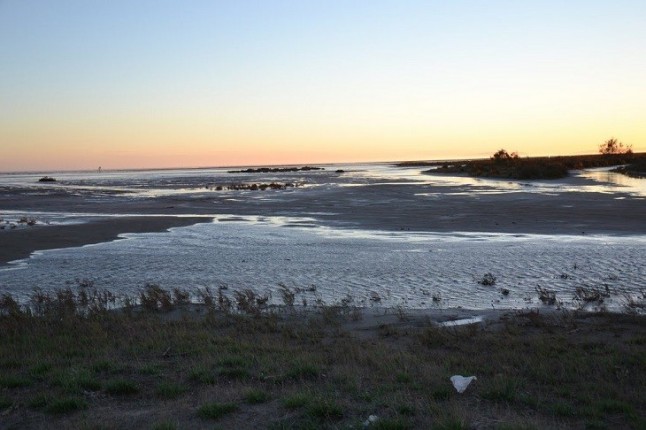 Exigen a la Generalitat que cree la Agència Catalana de la Natura