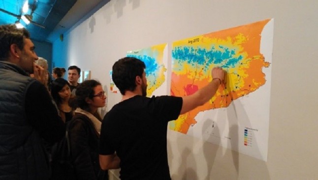 Los bosques suben montañas para sobrevivir al cambio climático