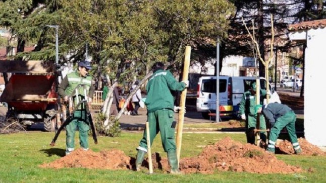 Madrid plantará más de 17.000 árboles para ser una ciudad más verde