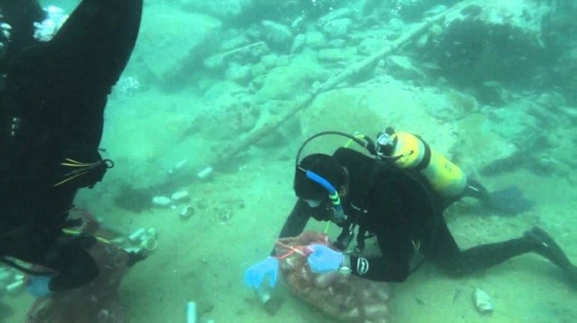 El Centro de Actividades Náuticas de Almería inicia una campaña de limpieza de los fondos marinos