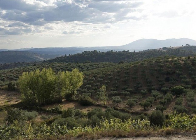 Nuevo director del Organismo Autónomo Parques Nacionales