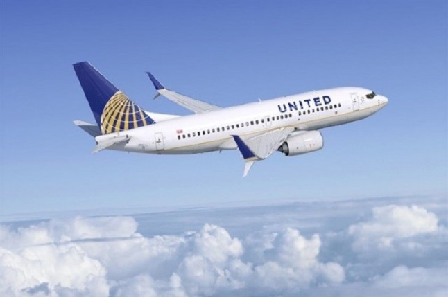 United Airlines suspende el transporte de mascotas en bodega