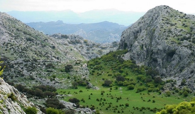 La Junta Rectora del Parque Natural Sierra de Grazalema se reúne tras 2 años de paralización