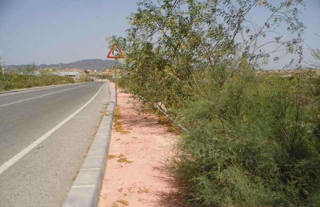 Ecologistas de Baleares exigen que se deje de fumigar los bordes de las carreteras