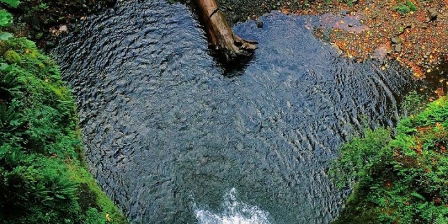 Súmate a la iniciativa de WWF para proteger el agua en Europa