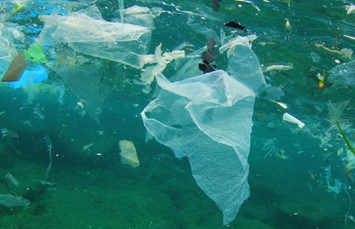 La contaminación por plasticos en el mar antártico es ‘critica’