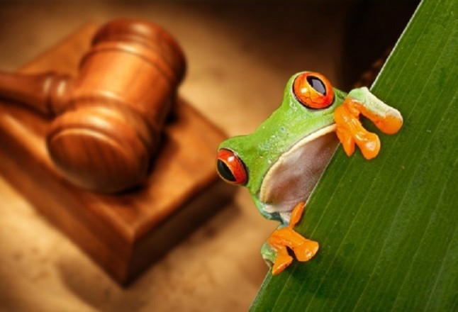 Transportistas de gas y fabricantes de vehículos quieren anticiparse a las leyes medioambientales