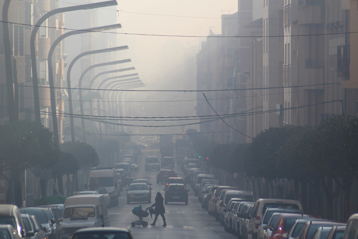 La clemencia climática evita las quemas en Cieza