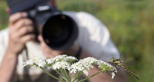 Las personas mayores tienen un papel capital en la conservación del medio natural y la biodiversidad