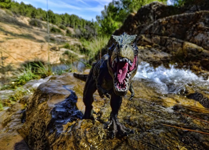 Naturaleza. El Tiranosaurio Rex daba un estirón de adolescente