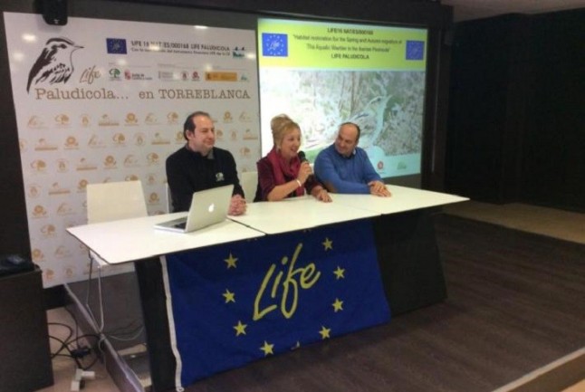 El proyecto Life Paludicola pretende recuperar 380 hectáreas de humedales para proteger al carricerín cejudo