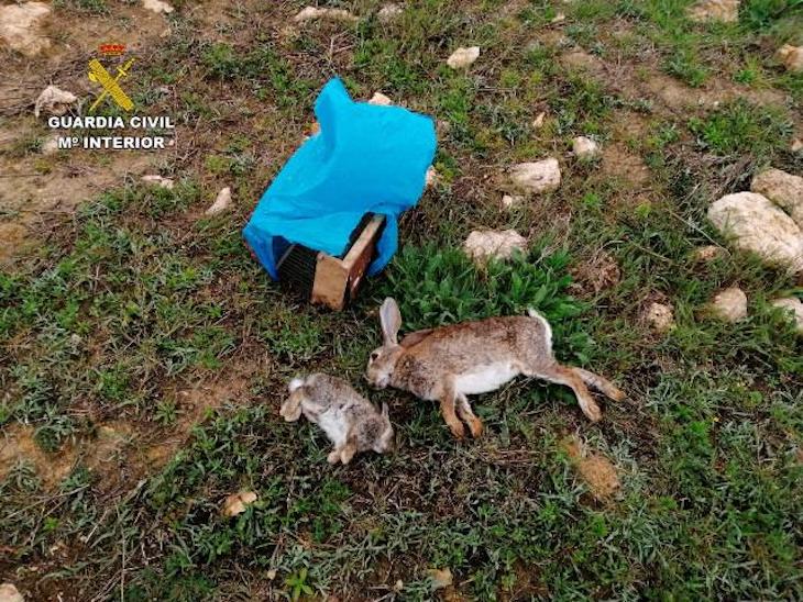 Cazador ‘pillado’ en Daimiel con una trampa artesanal