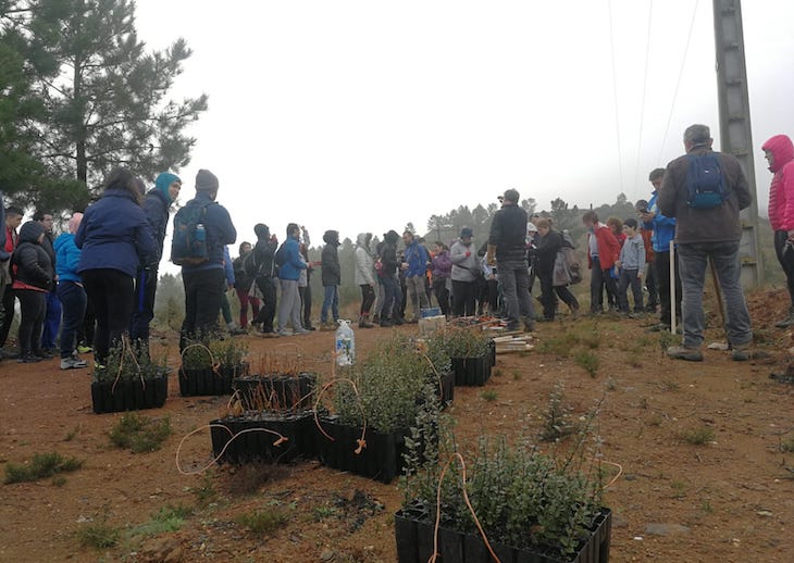 Este sábado se plantarán árboles autóctonos en la Sierra de Montánchez