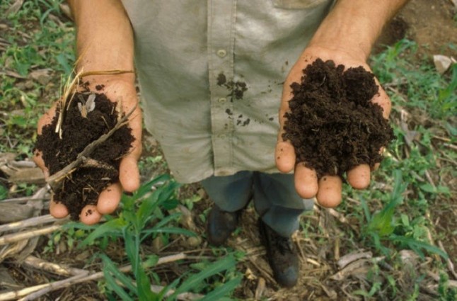 Mejorar la salud y calidad de los suelos para frenar el cambio climático