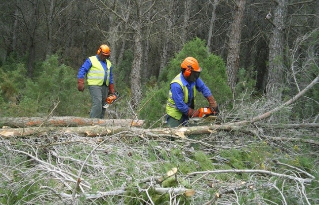 Lluvia de millones para el programa de gestión de la Agencia de Medio Ambiente y Agua andaluza hasta 2019
