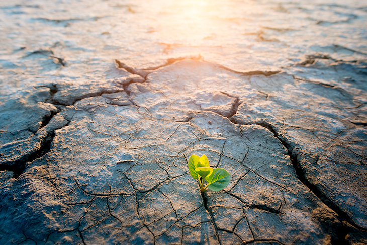Plan Andaluz de Acción por el Clima