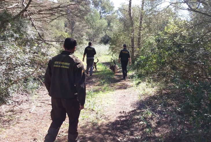 Los agentes de Medio Ambiente de Baleares realizan cientos de actuaciones durante el estado de alarma
