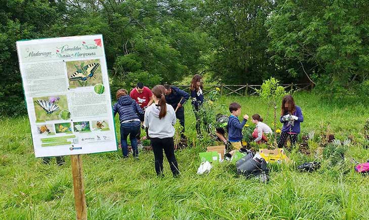 Logroño apoya dos Oasis de mariposas