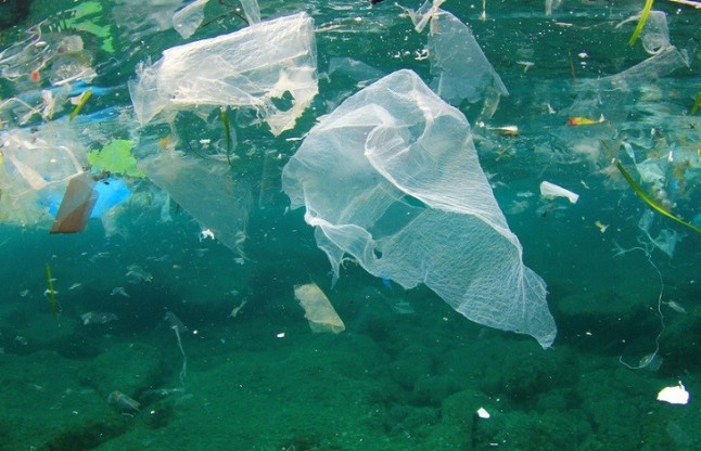 ANSE caracteriza 2.400 residuos flotantes en la costa de la Región de Murcia