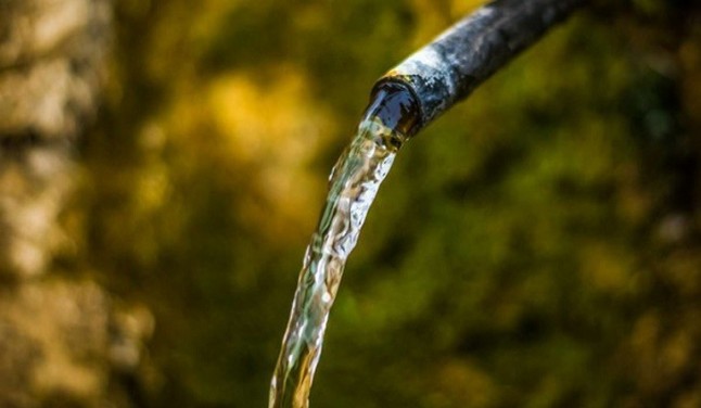 SEO/BirdLife en pro de la Directiva de Agua europea