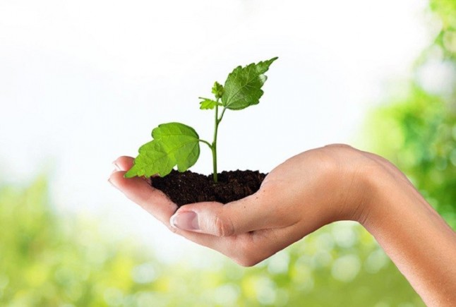 La Iglesia se suma al Día del Medio Ambiente