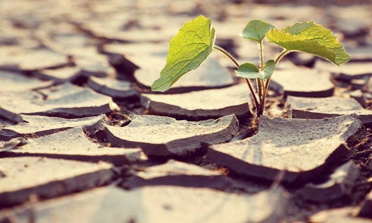 España publica el borrador del Plan Nacional de Adaptación al Cambio Climático (PNACC) 2021-2030