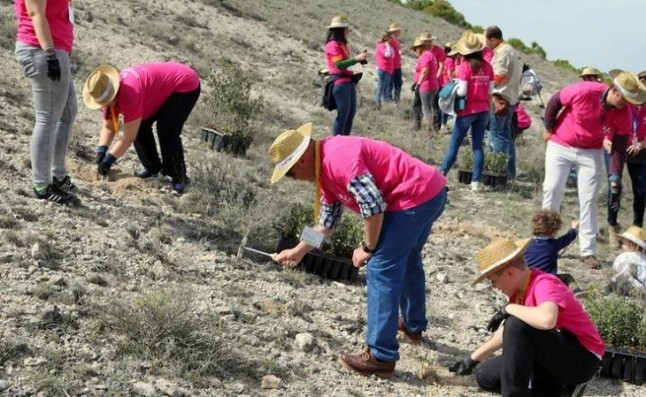 Reforestando una zona de Cevico Navero (Palencia)