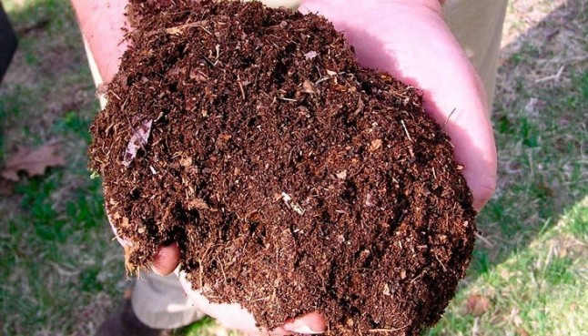 Cantabria se apunta a un proyecto para producir humus de lombriz como fertilizante