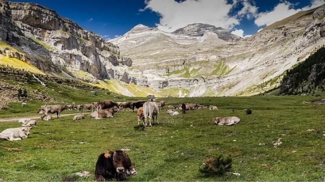 La Reserva de la Biosfera Ordesa-Viñamala publica rutas para descubrir su naturaleza y su gastronomía