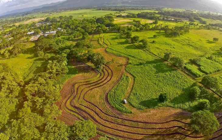 ¡Seis técnicas imprescindibles para conocer la agricultura regenerativa!