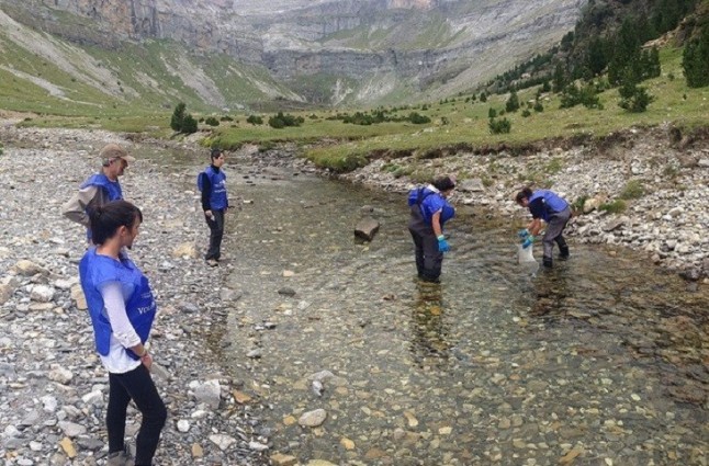 ACA presenta una nueva especie de epibionte: Discophrya ordesae