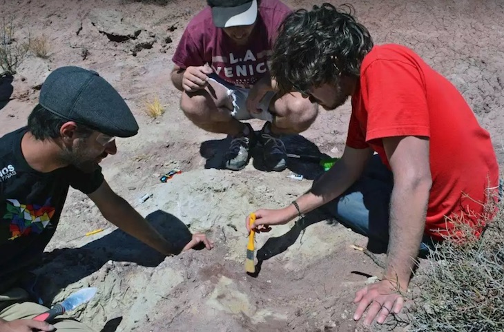 Nueva especie de dinosaurio carnívoro que habitó en la Patagonia