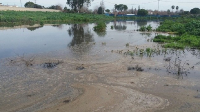 Decenas de municipios de Guadalajara regulan el vertido de purines