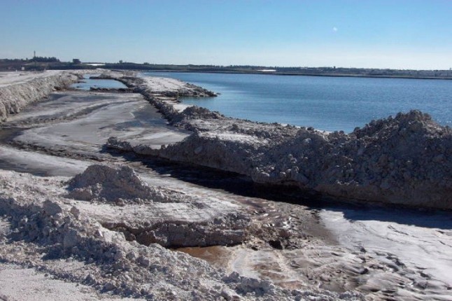 WWF insta al Estado a declarar contaminados los suelos de Huelva capital y actuar para regenerar zona de fosfoyesos