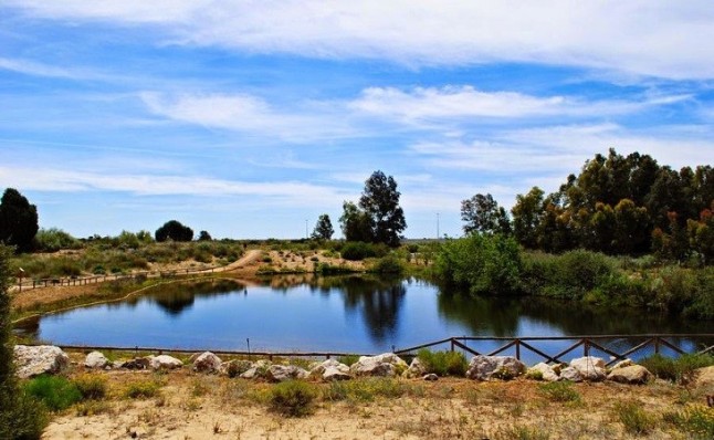 El jardín botánico Dunas del Odiel dedica su último programa del año a las aves