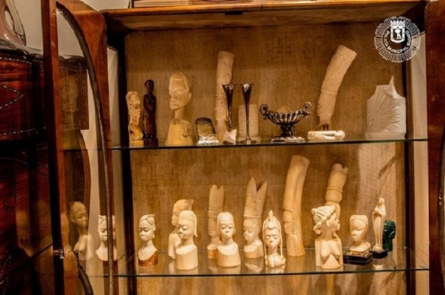 Requisadas 21piezas de marfil