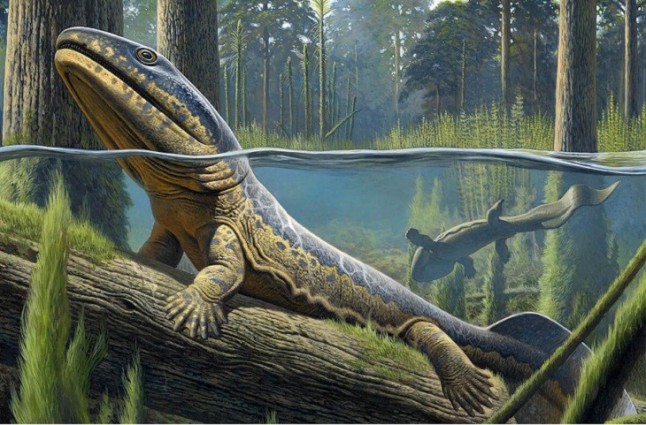 Los primeros tetrápodos de África vivieron dentro del círculo antártico